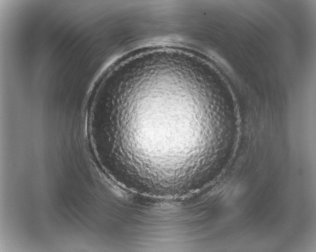 X0000067331224200604030925