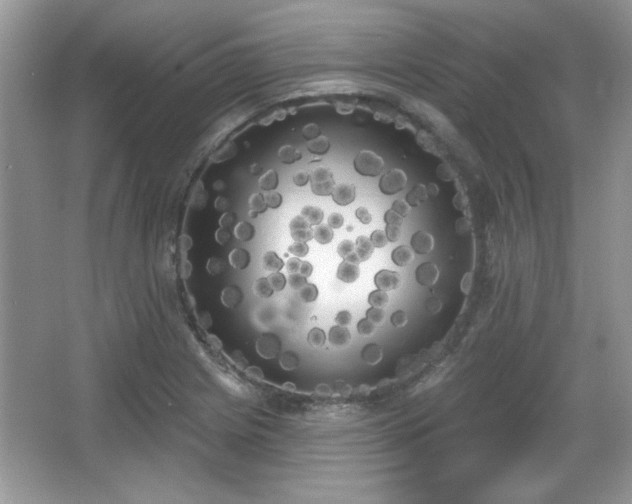 X0000067331225200604030925
