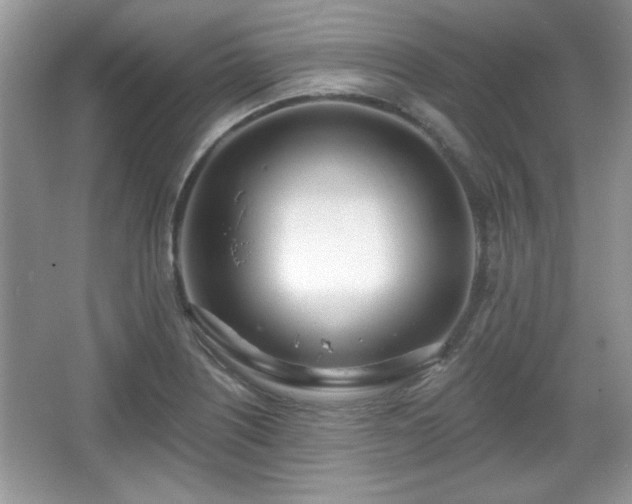 X0000067331226200604030925
