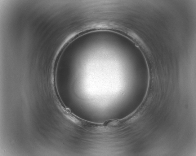 X0000067331232200604030925