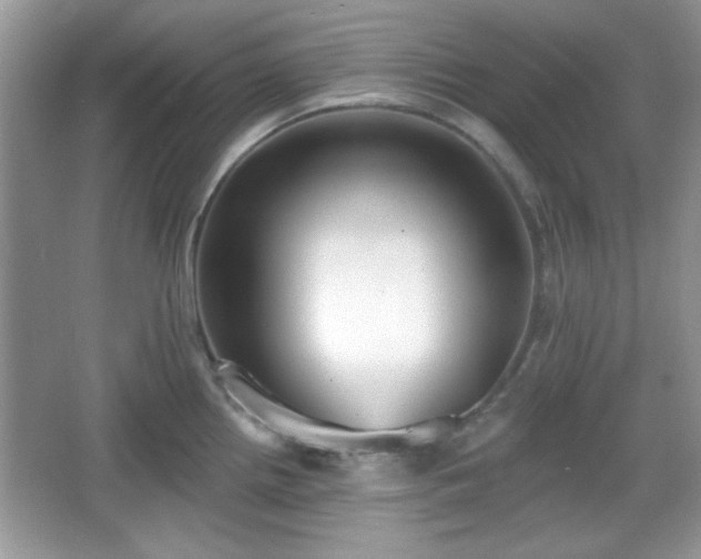 X0000067331242200604030925