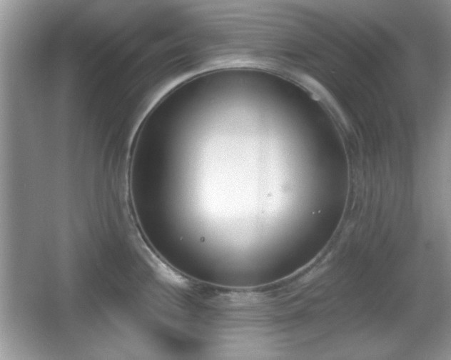 X0000067331244200604030925