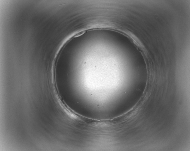 X0000067331246200604030925