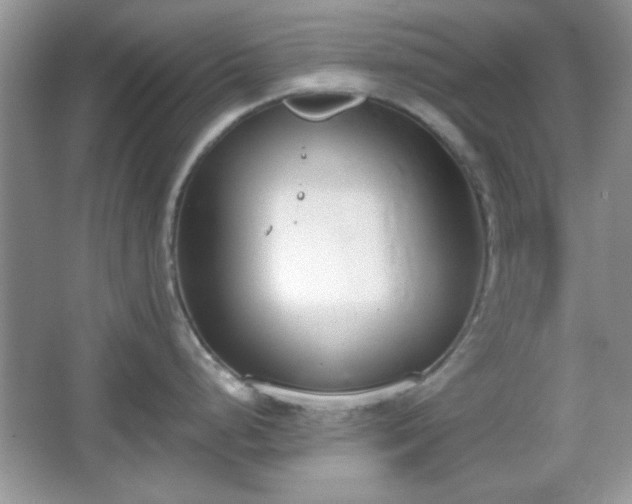 X0000067331248200604030925