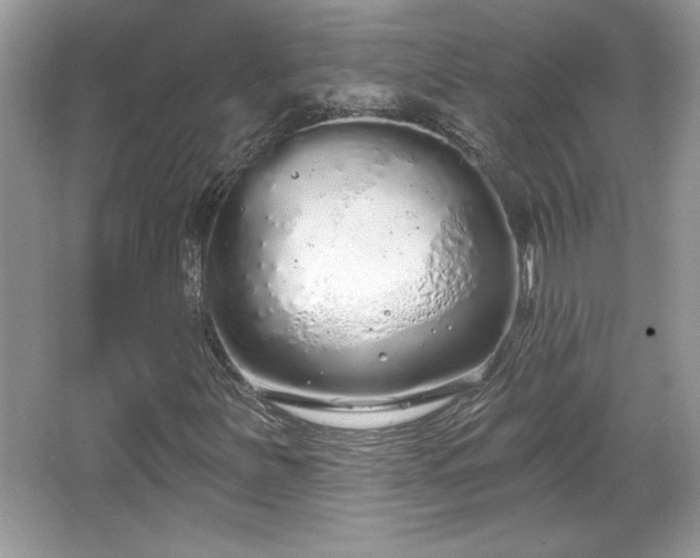X0000067331251200604030924