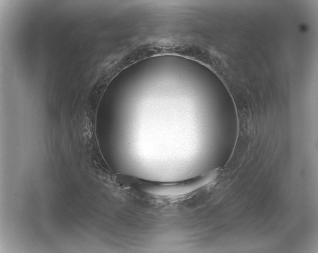 X0000067331253200604030924