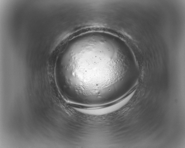 X0000067331255200604030924