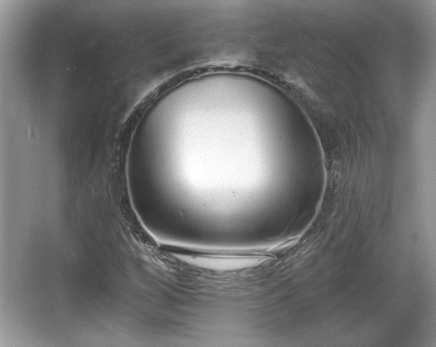 X0000067331256200604030924