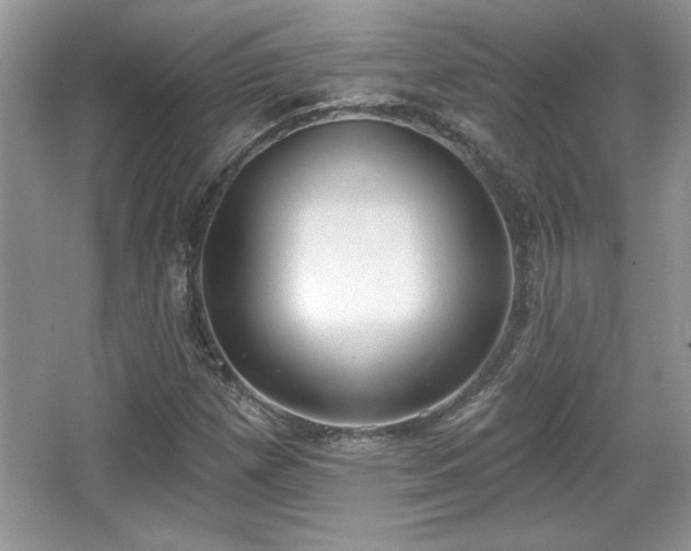 X0000067331257200604030924