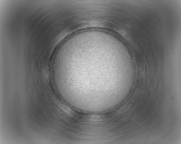 X0000067331266200604030924