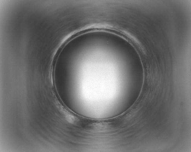X0000067331272200604030924