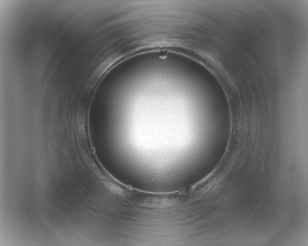X0000067331273200604030924