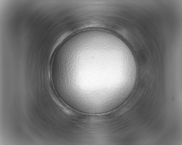 X0000067331274200604030924