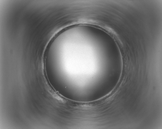 X0000067331280200604030924