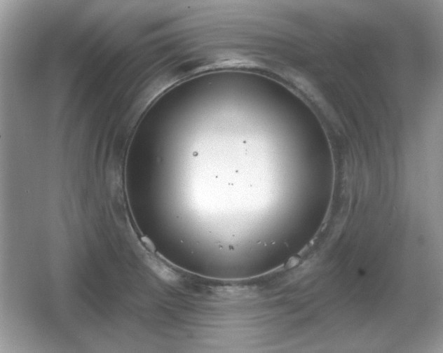 X0000067331281200604030924