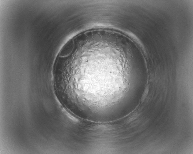 X0000067331287200604030923
