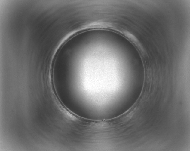 X0000067331288200604030923