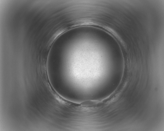 X0000067331289200604030923