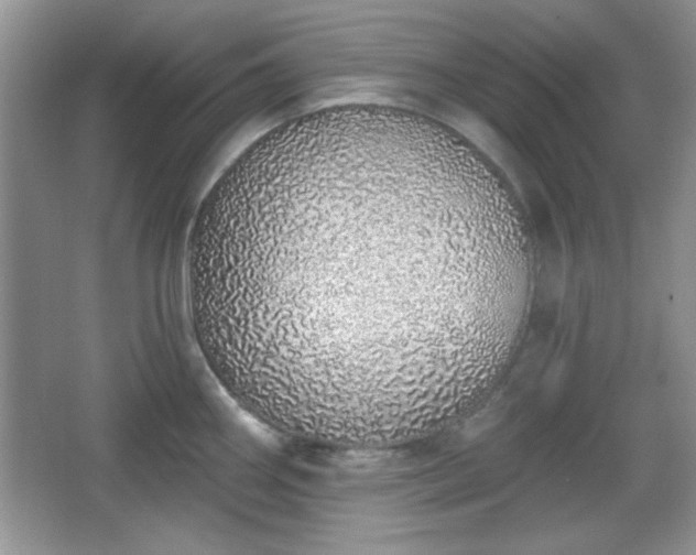 X0000067331290200604030923