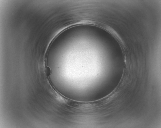X0000067331292200604030923