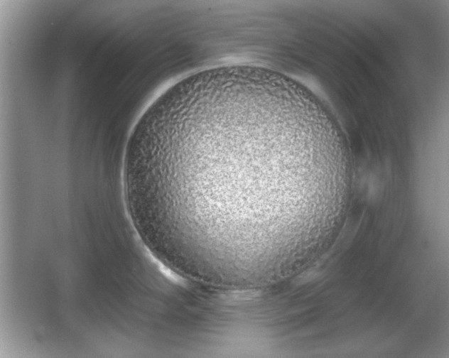 X0000067331294200604030923