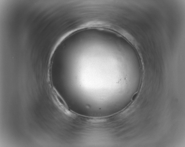 X0000067331296200604030923