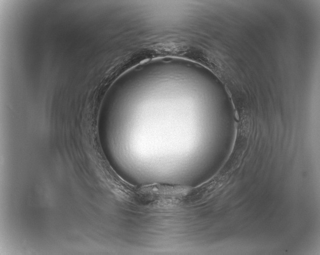 X0000067331297200604030923