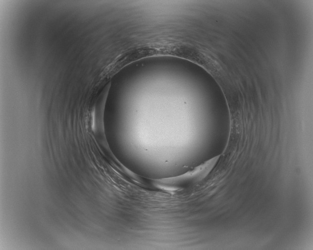 X0000067331298200604030923