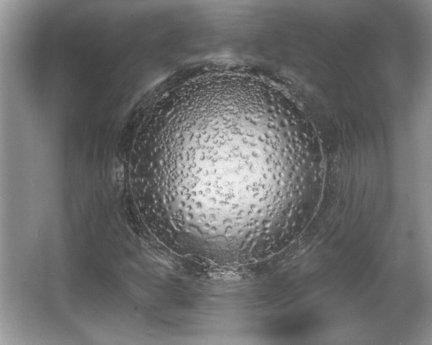 X0000067331302200604030923