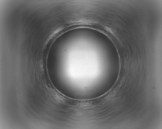 X0000067331307200604030923