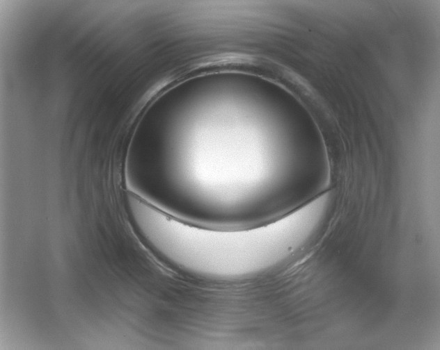 X0000067331321200604030923