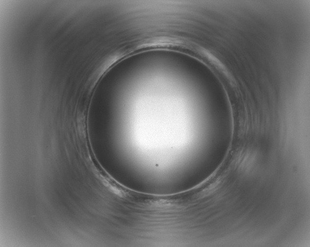 X0000067331329200604030923