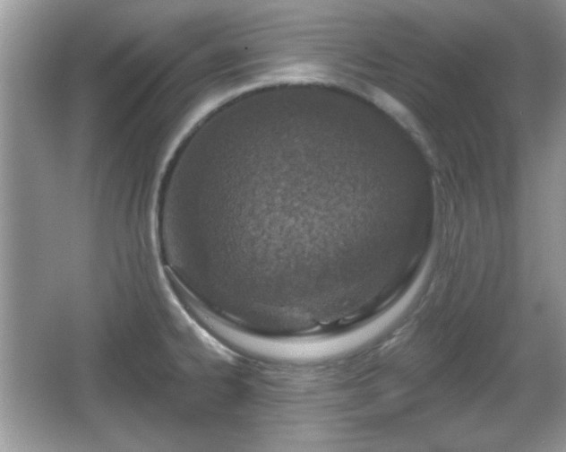 X0000067331334200604030923