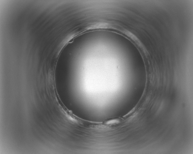 X0000067331337200604030923