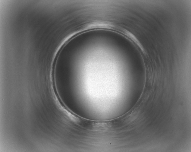 X0000067331339200604030923