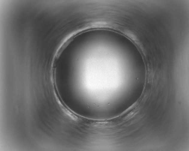 X0000067331342200604030923