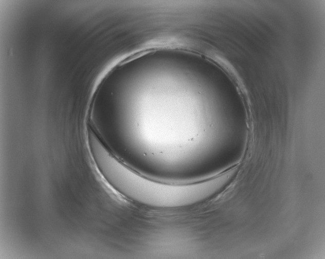 X0000067331344200604030923
