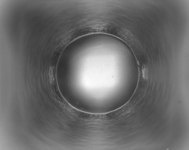X0000067331347200604030922