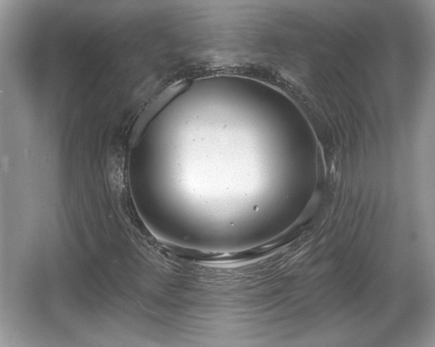 X0000067331348200604030922