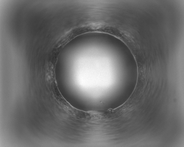 X0000067331349200604030922