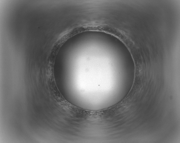 X0000067331350200604030922