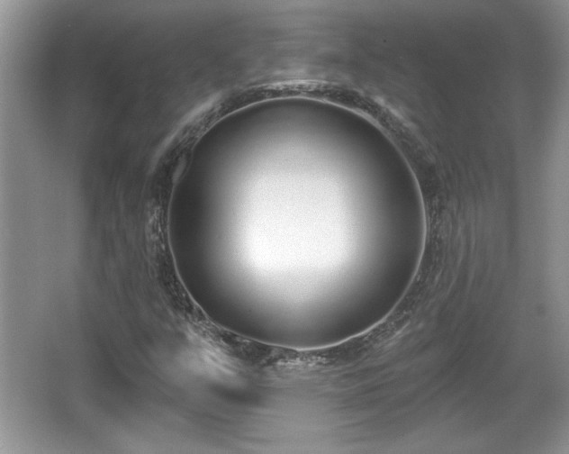 X0000067331351200604030922
