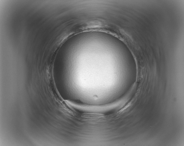 X0000067331353200604030922