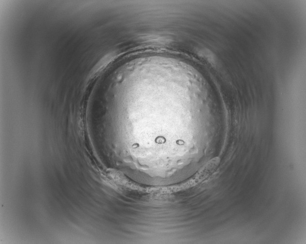 X0000067331354200604030922