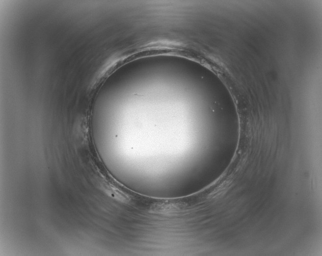X0000067331355200604030922