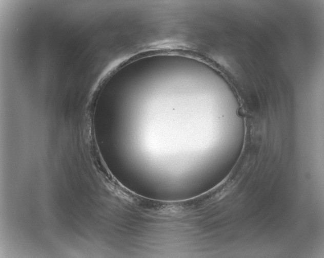 X0000067331358200604030922