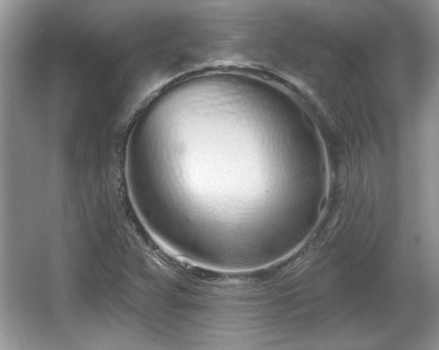 X0000067331359200604030922
