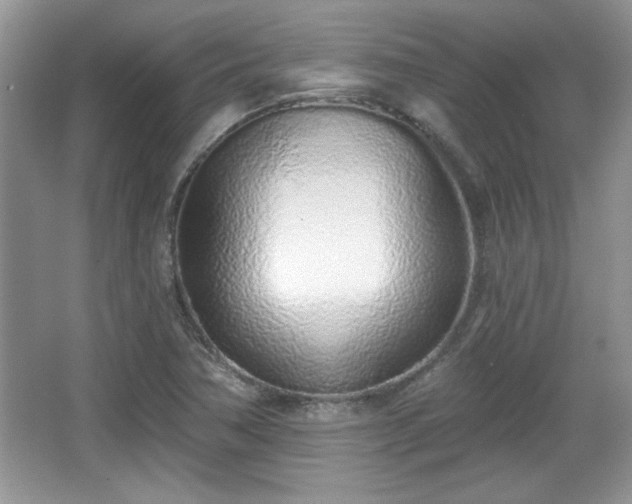 X0000067331362200604030922