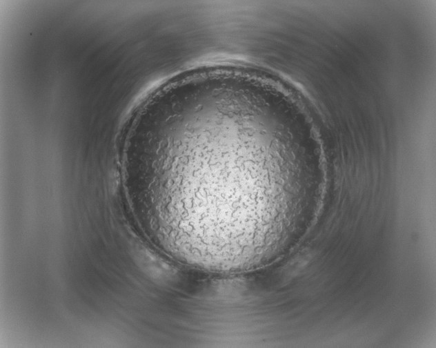 X0000067331363200604030922