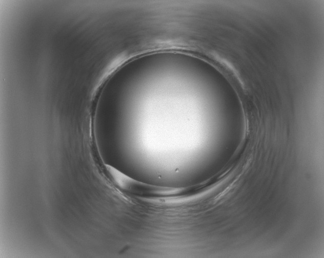 X0000067331365200604030922